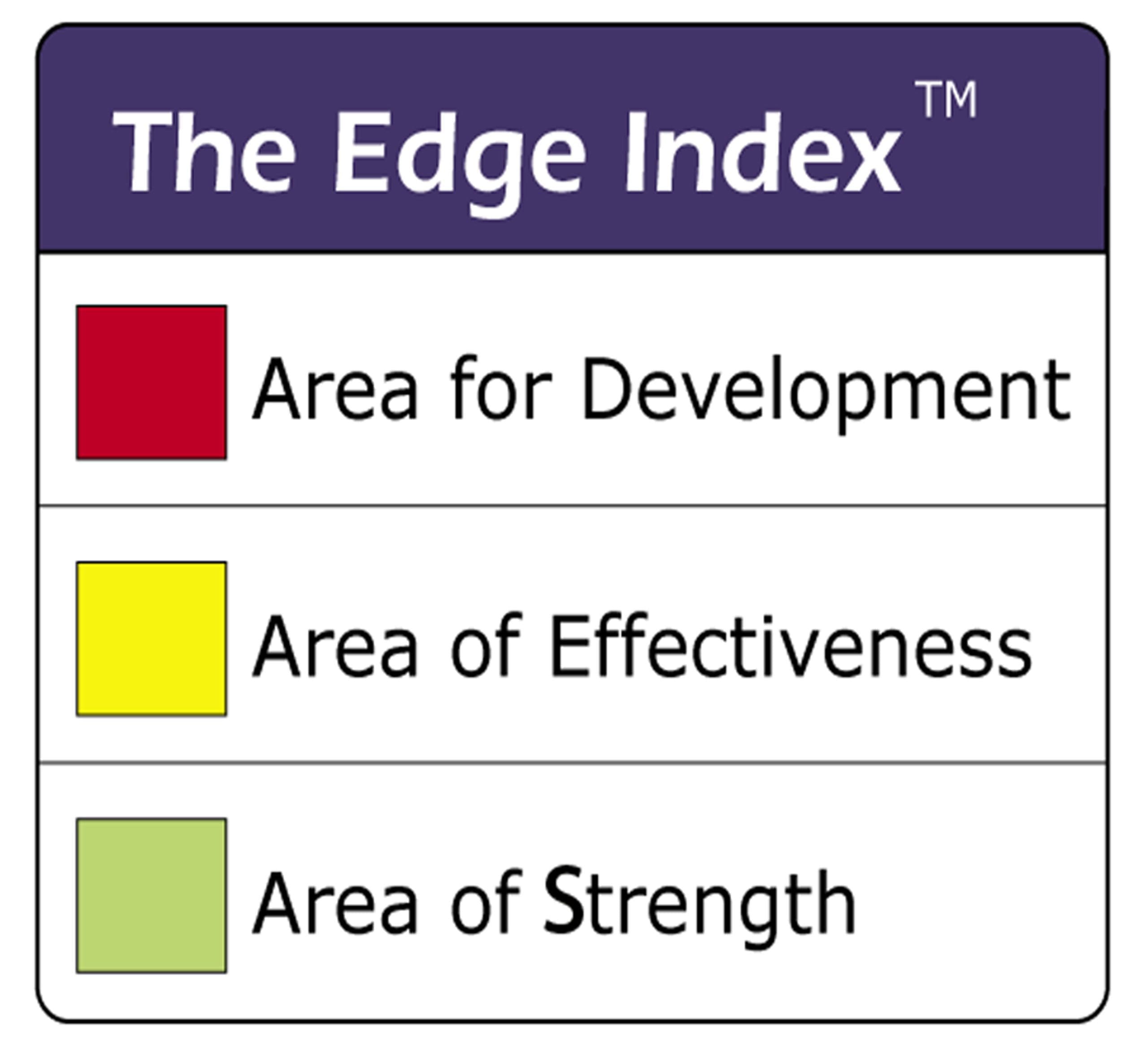 Leadership Edge assessment tool in action.